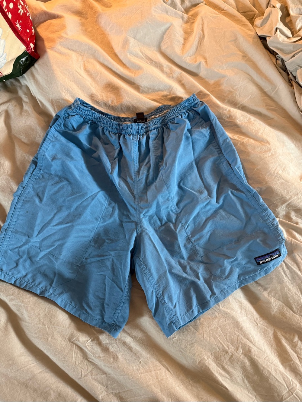 Patagonia Sky Blue Men's Baggies